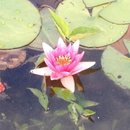 Hotell De La Marguetiere